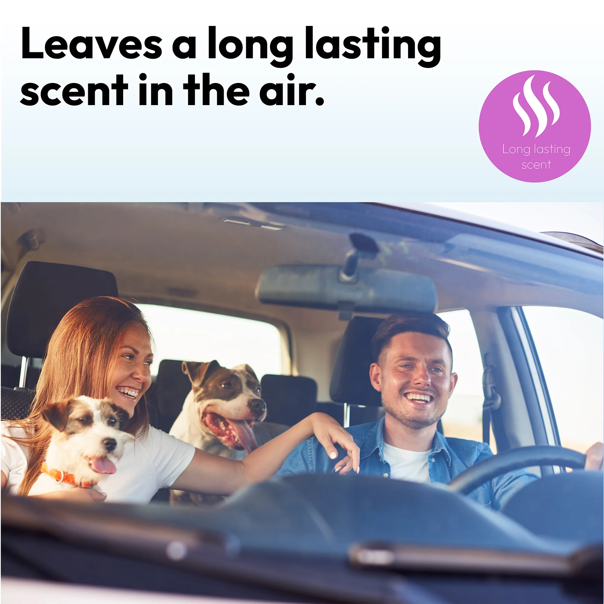 Designer Air Freshener (Fabulust) - TruEssence - Image 7