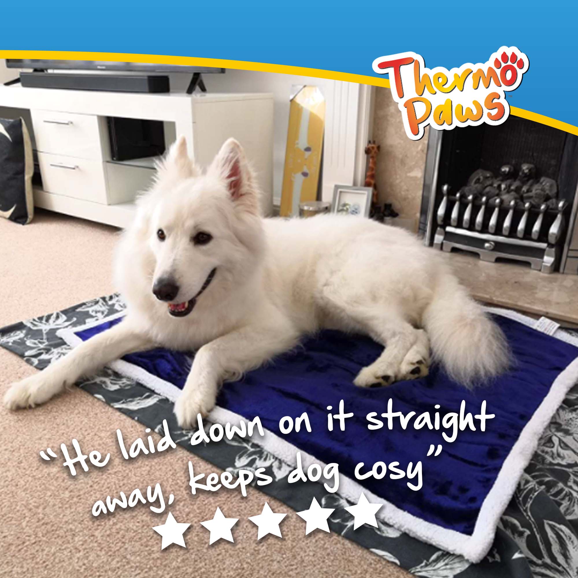 Luxury Pet Blanket (Blue) - PawPride - Image 3