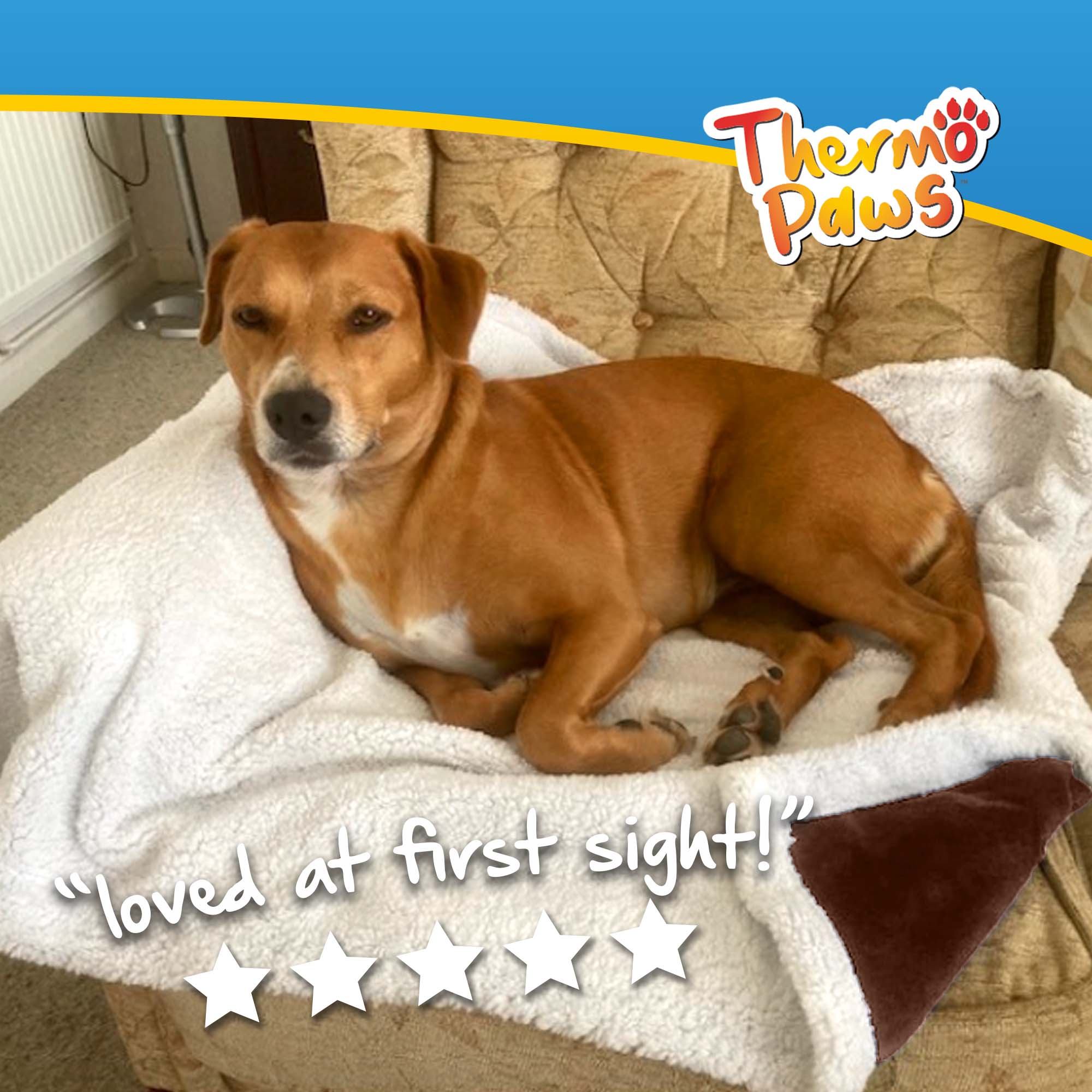 Luxury Pet Blanket (Brown) - PawPride - Image 5