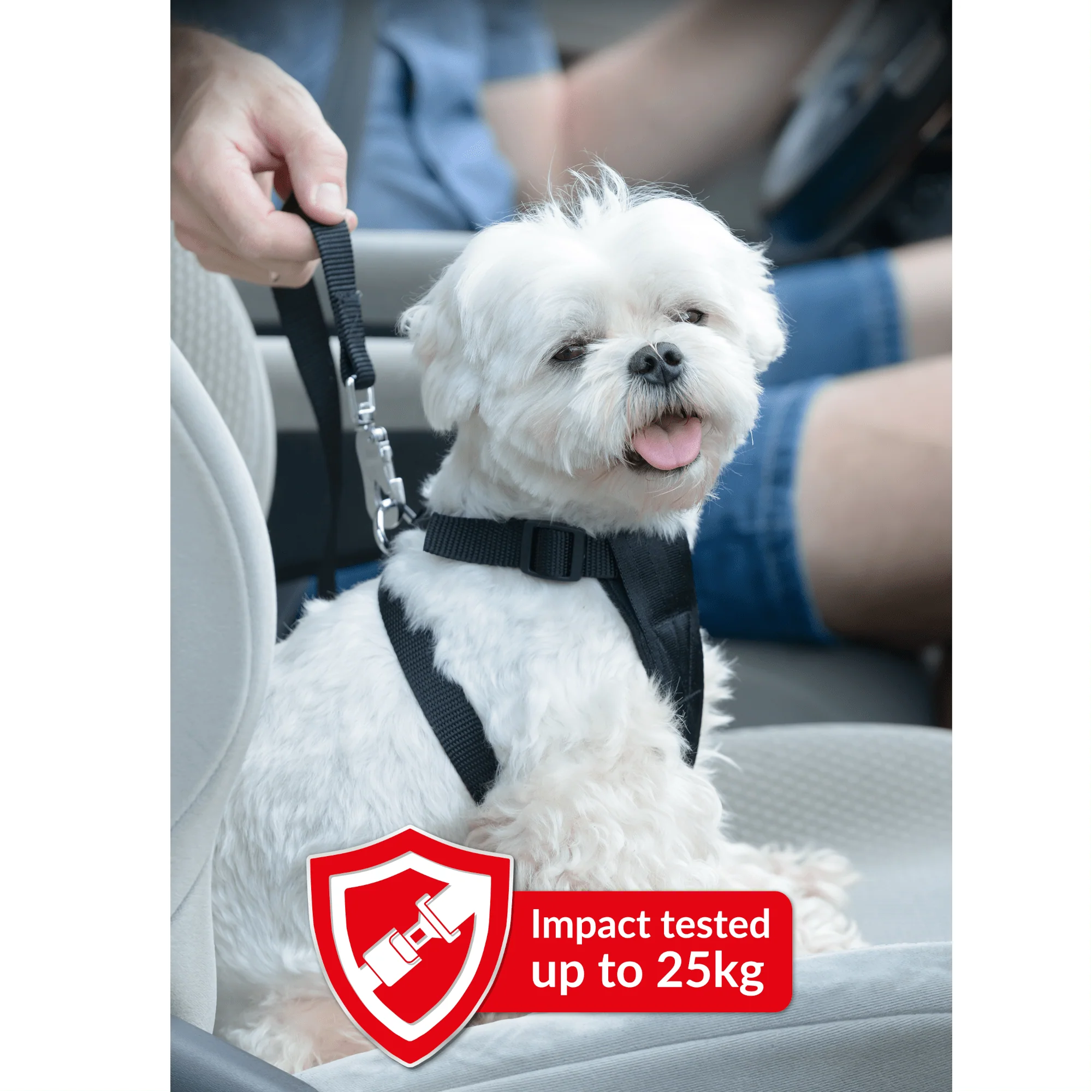 Pet Car Seat Belt Safety Restraint Leash - PawPride - Image 4