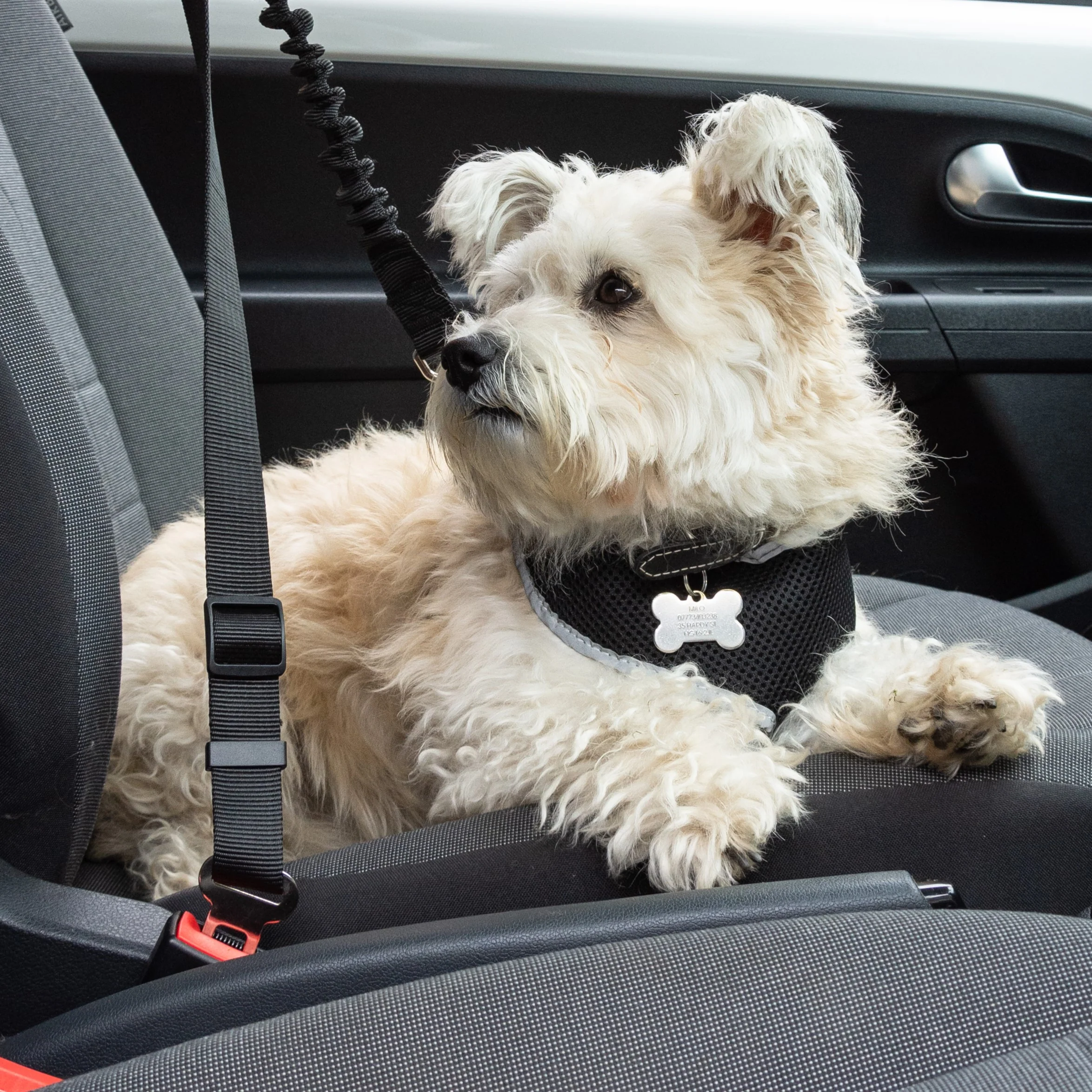 Pet Car Seat Belt Safety Restraint Leash - PawPride - Image 5