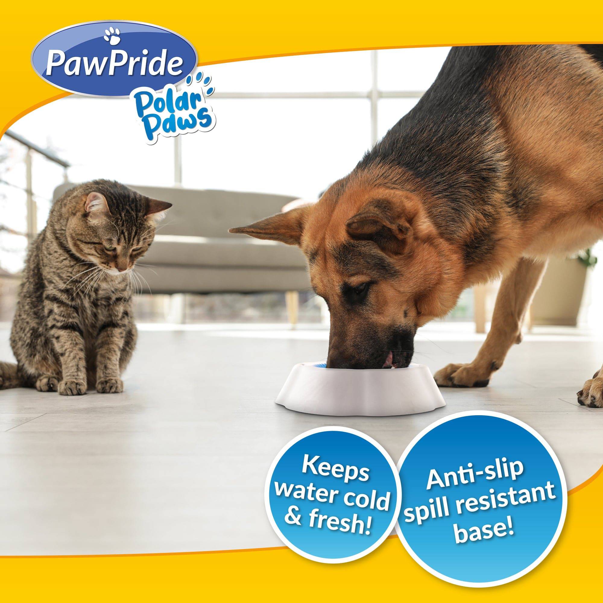 Pet Cooling Bowl - PawPride - Image 4