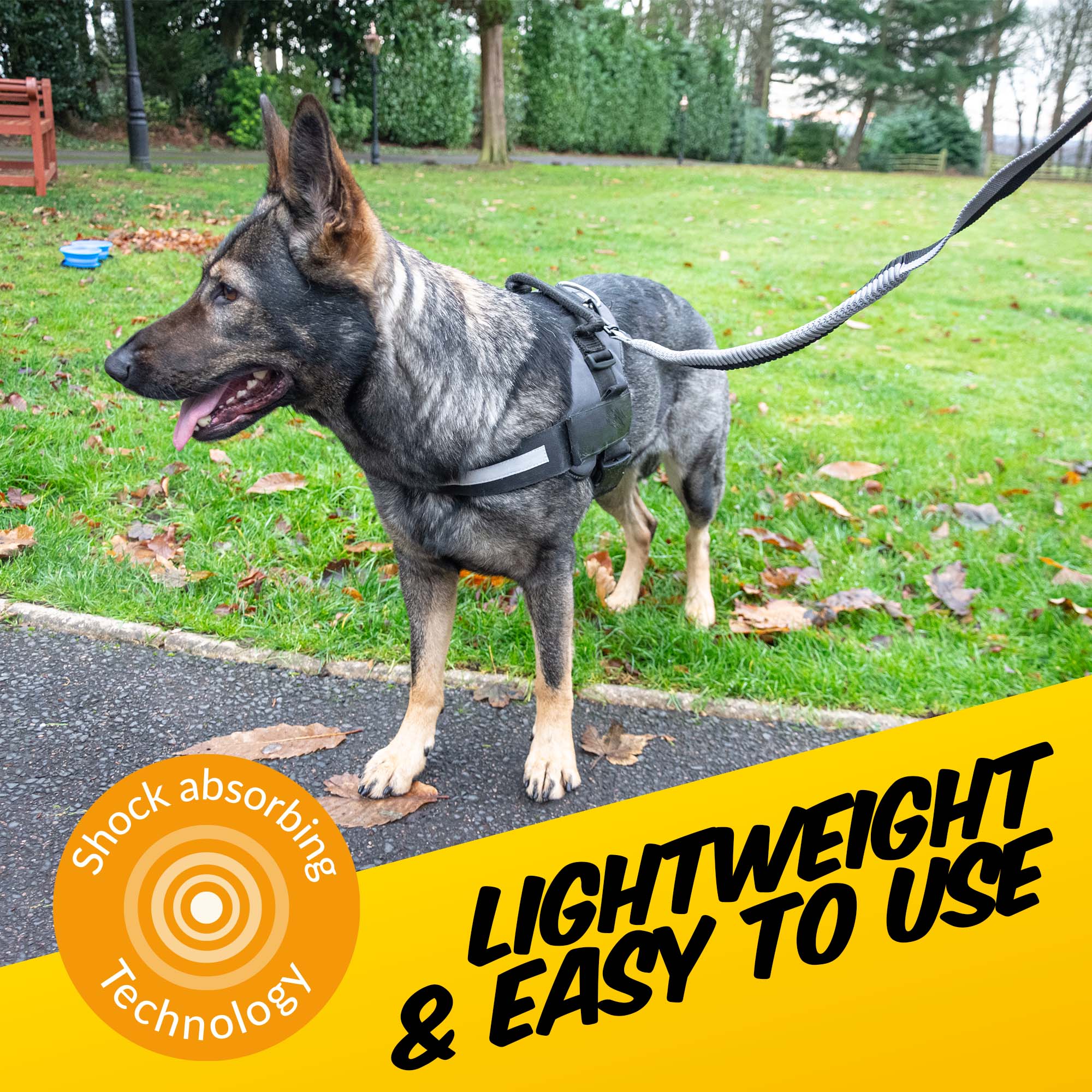 Super Stretch Dog Lead - Pawpride - Image 4